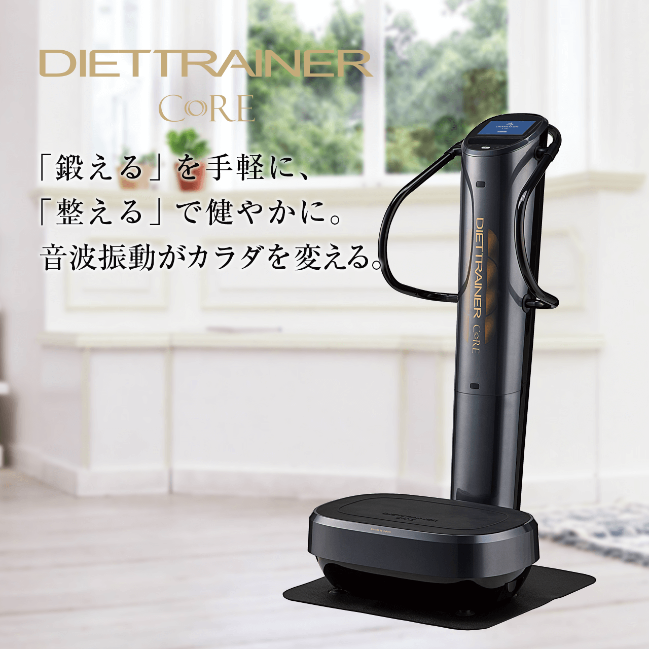 買得 フジ医療器 ダイエットトレーナーコア DT-C1000 エクササイズ用品 